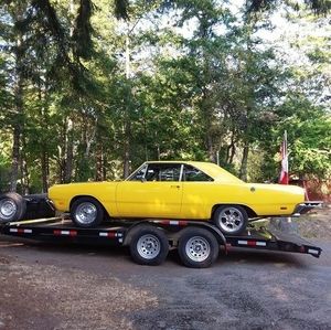 Meet your Posher, Terry